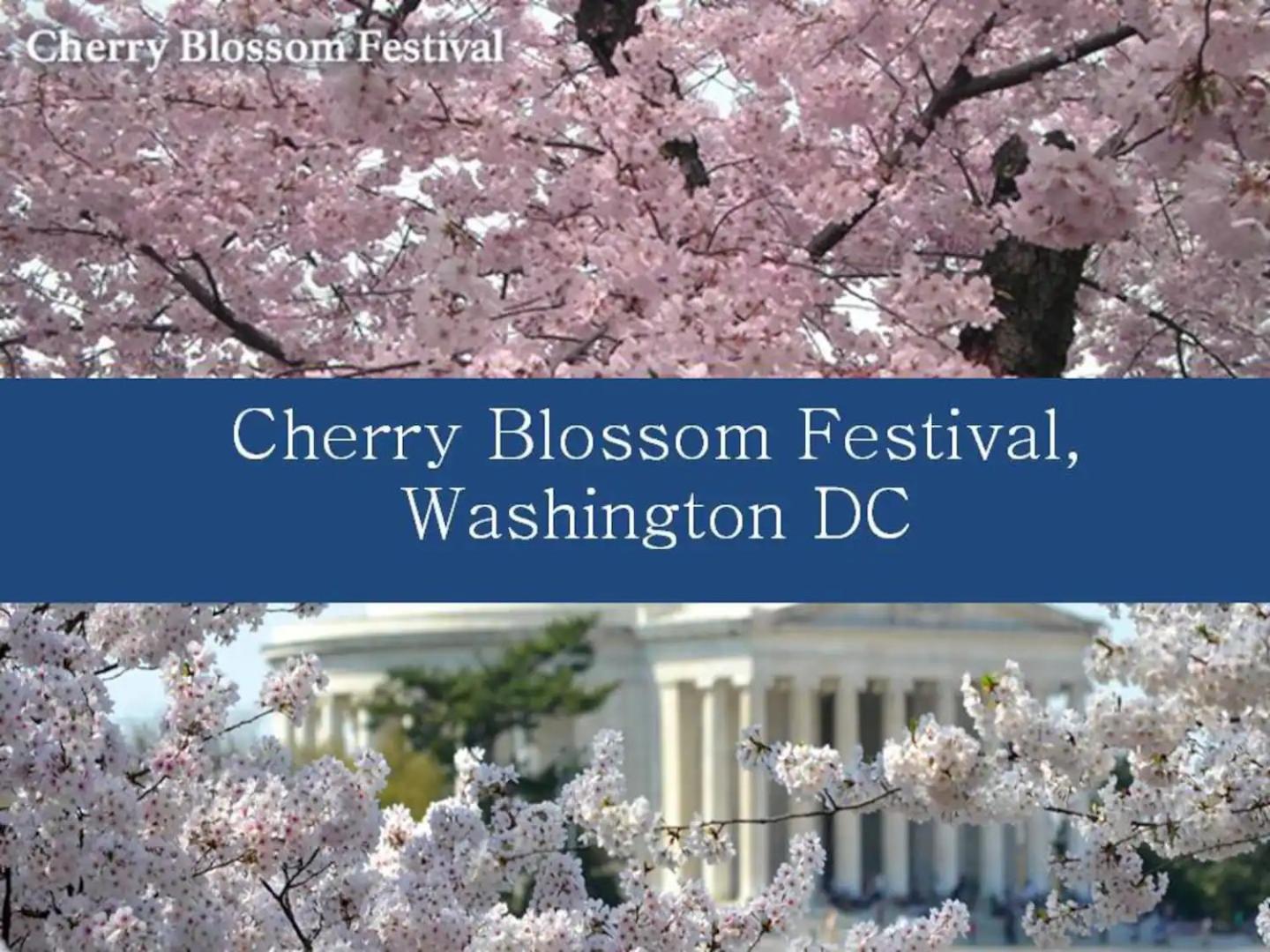 Dc'S Best Address -10Min To White Hse - 500 Mbps 华盛顿哥伦比亚 外观 照片